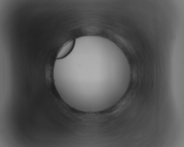 X0000101441346200807071018