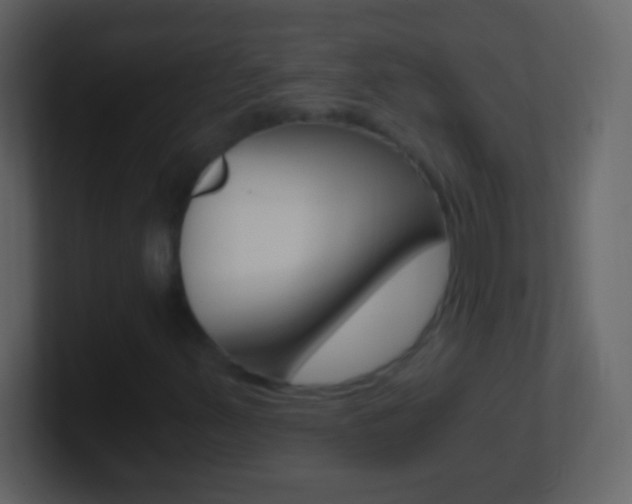 X0000101441347200807071018