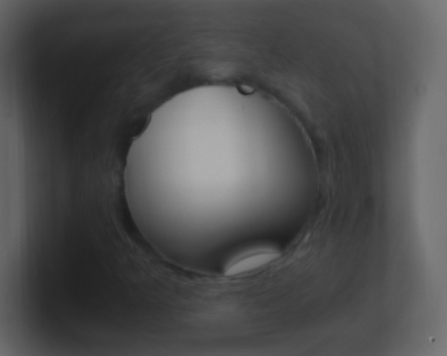 X0000101441349200807071018