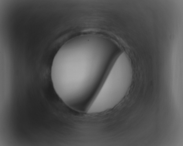 X0000101441351200807071018