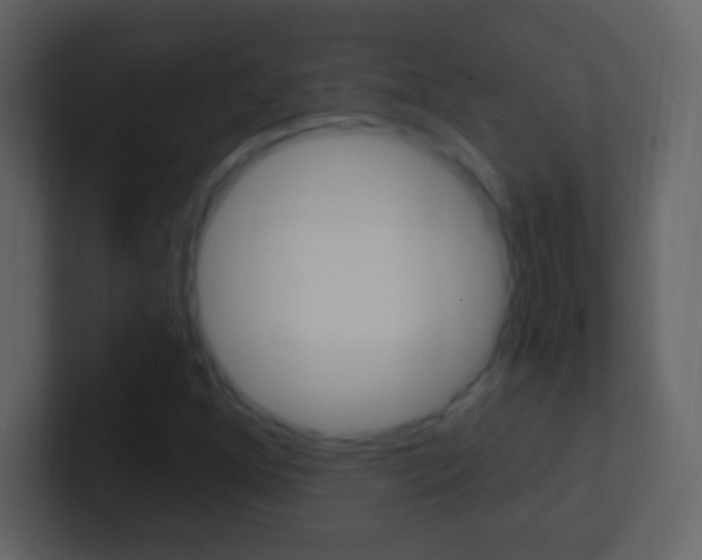 X0000101441352200807071018