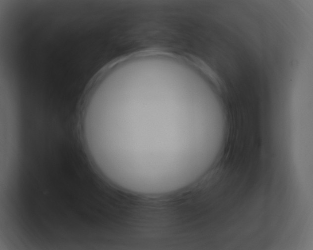 X0000101441356200807071018