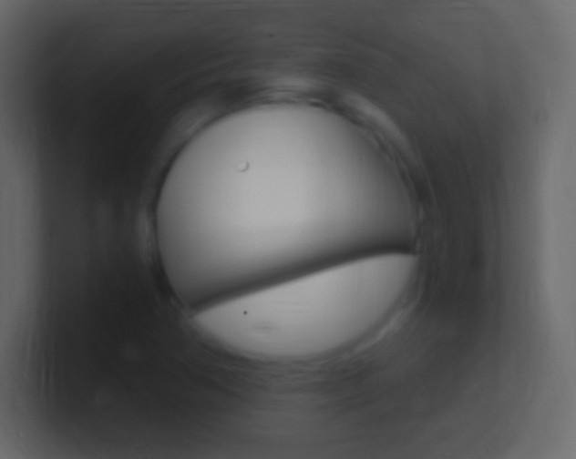 X0000101441362200807071018