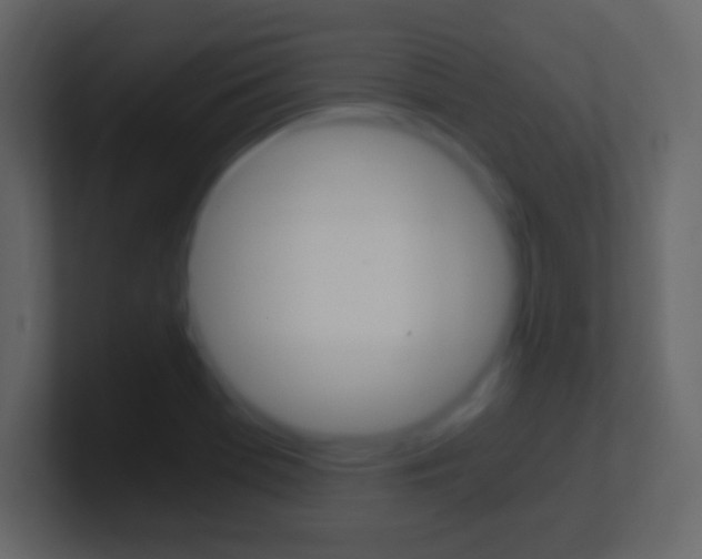 X0000101441369200807071018
