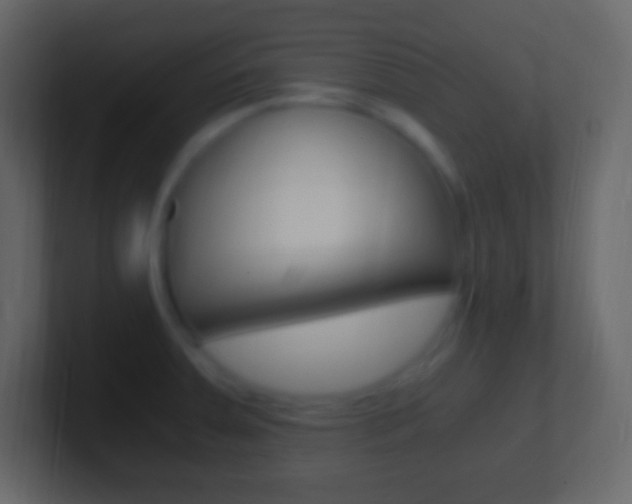 X0000101441379200807071018