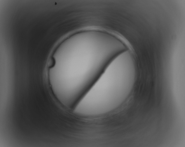 X0000101441380200807071018