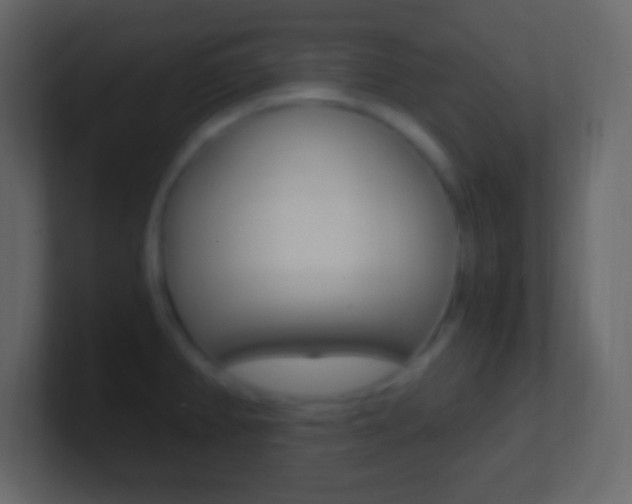 X0000101441382200807071018