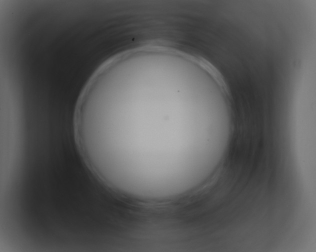 X0000101441384200807071018