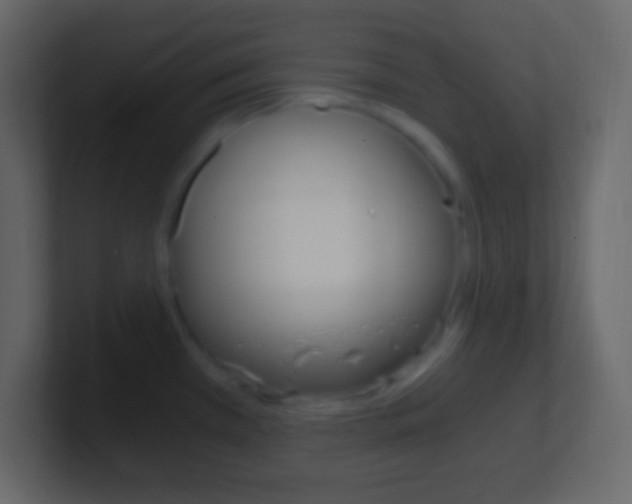 X0000101441385200807071018