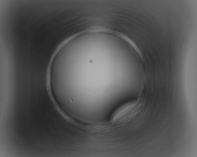 X0000101441387200807071017