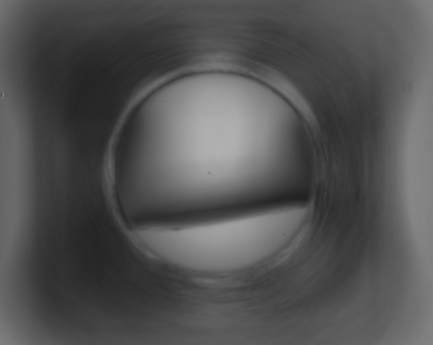 X0000101441388200807071017