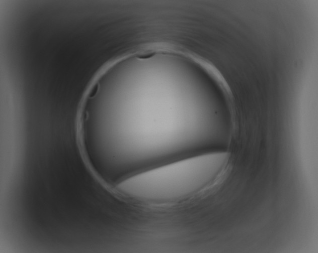 X0000101441389200807071017