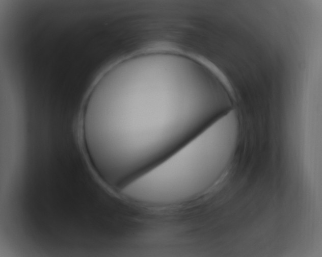X0000101441390200807071017