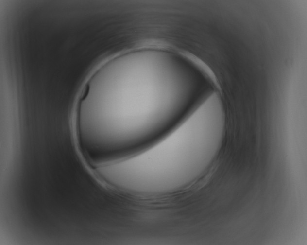 X0000101441391200807071017