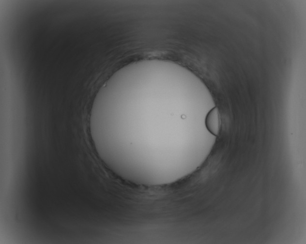 X0000101441393200807071017
