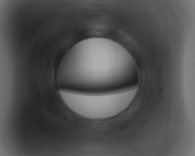X0000101441394200807071017