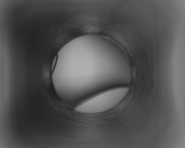 X0000101441396200807071017