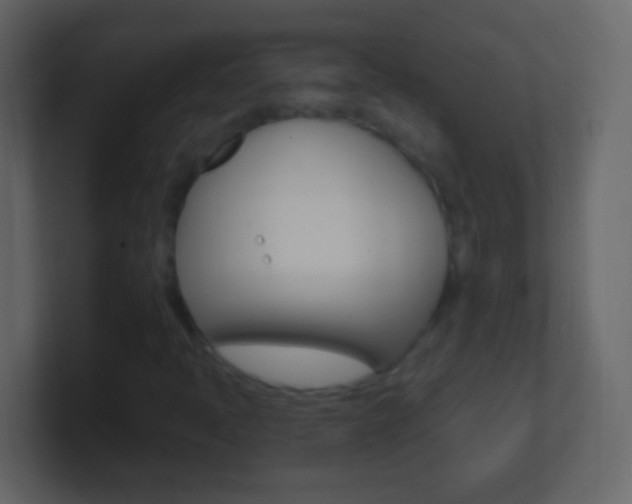 X0000101441397200807071017