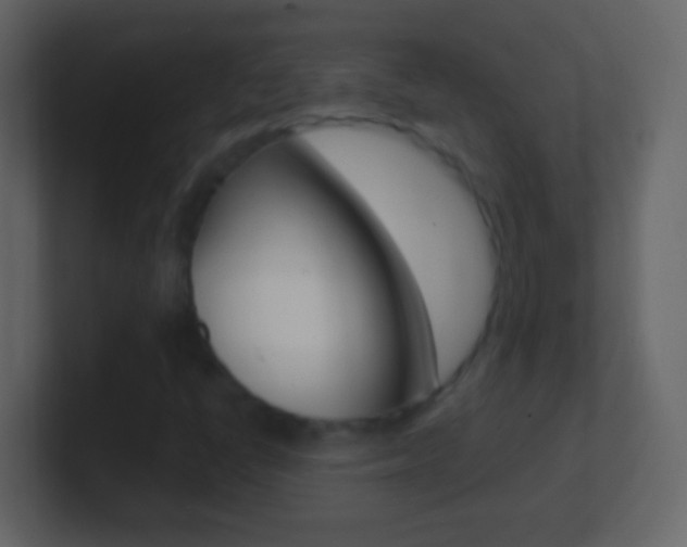 X0000101441398200807071017