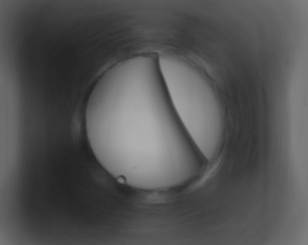 X0000101441401200807071017