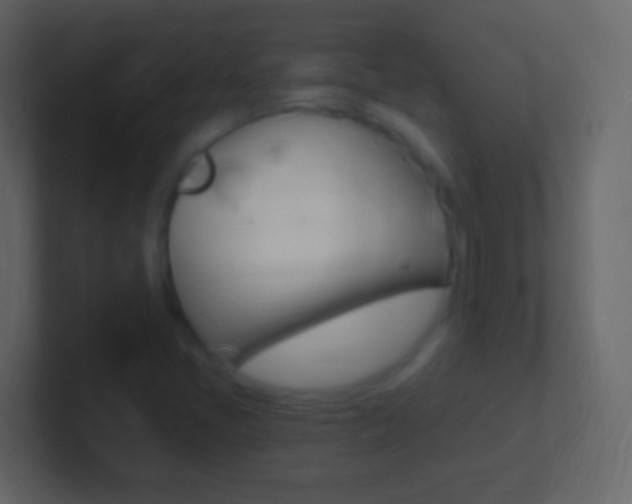 X0000101441405200807071017