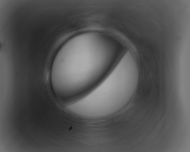 X0000101441416200807071017