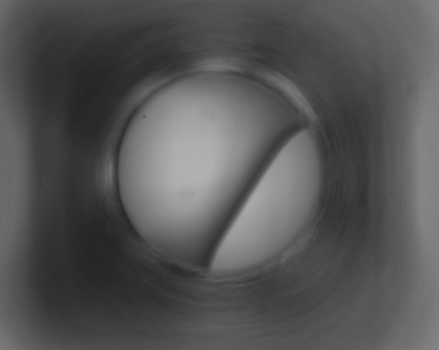 X0000101441419200807071017