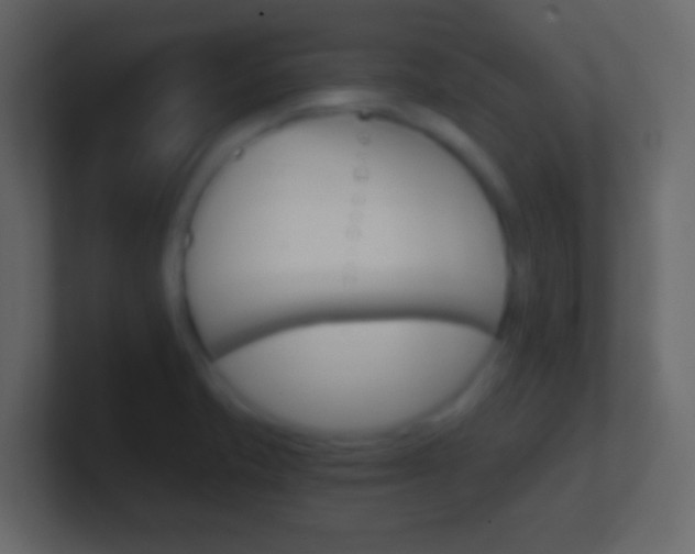 X0000101441421200807071017