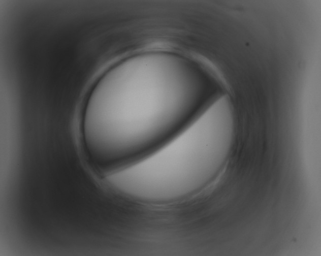 X0000101441422200807071017