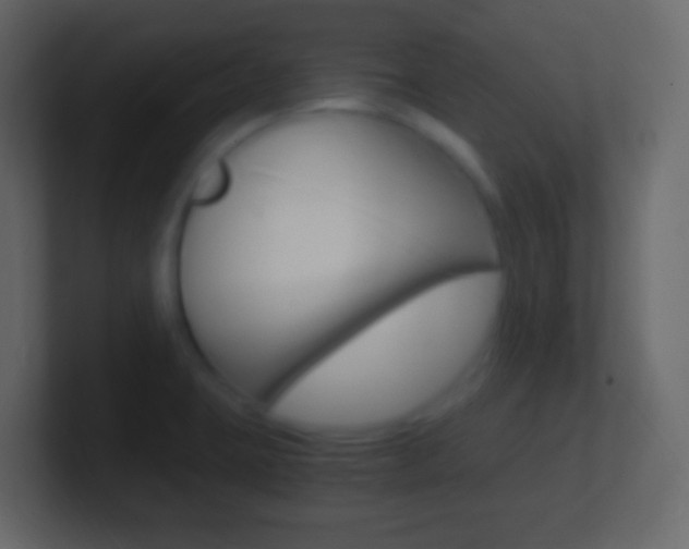 X0000101441423200807071017