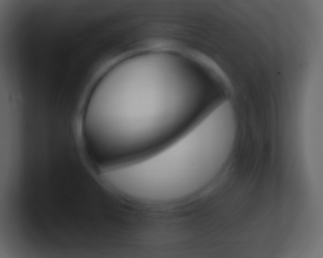 X0000101441424200807071017