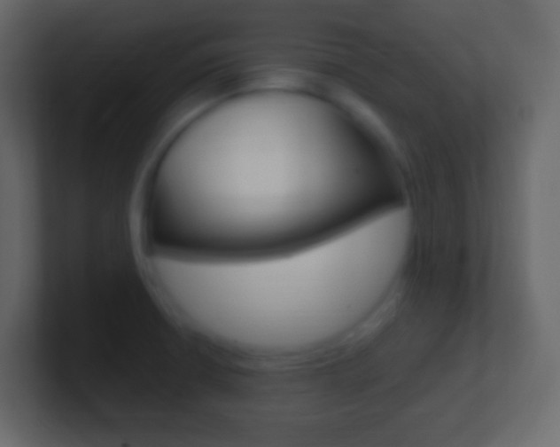 X0000101441426200807071017