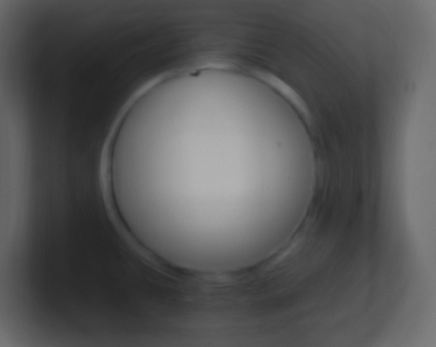 X0000101441431200807071017