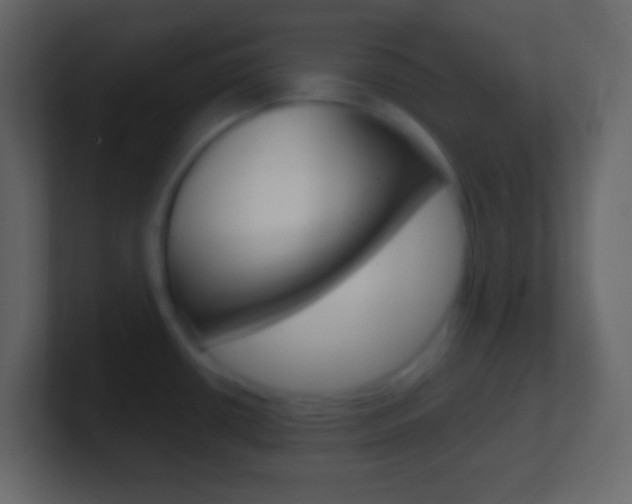 X0000101441434200807071017