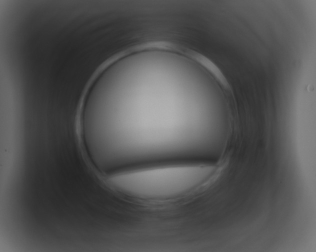 X0000101441436200807071017
