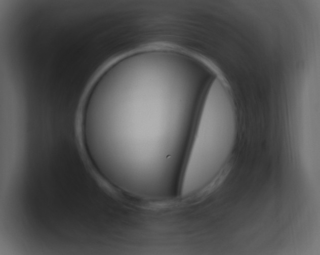 X0000101441438200807071017