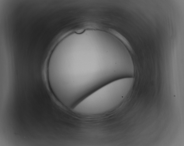 X0000101441439200807071017