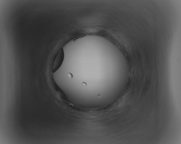 X0000101441441200807071017