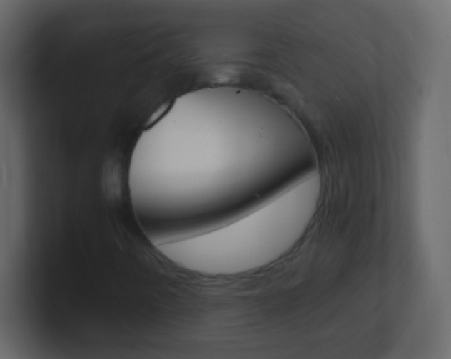 X0000101441442200807071017