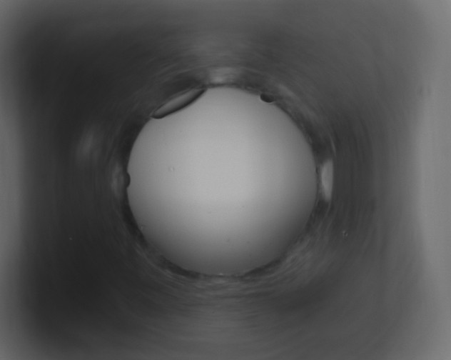 X0000101441443200807071017
