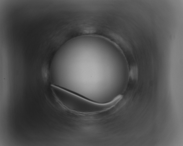 X0000101441444200807071017