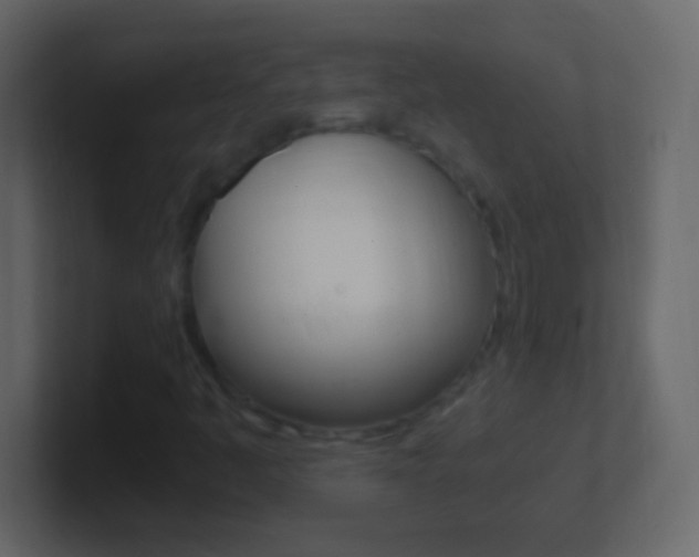 X0000101441445200807071017