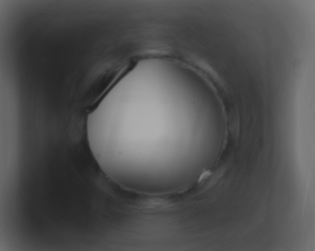 X0000101441448200807071016