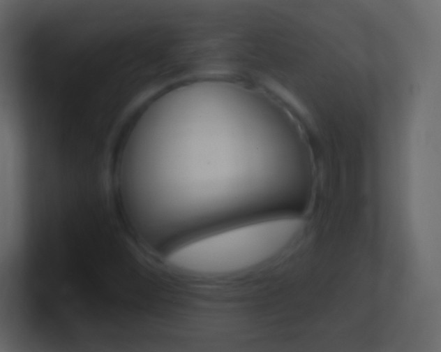 X0000101441452200807071016