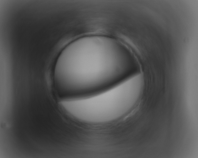 X0000101441455200807071016