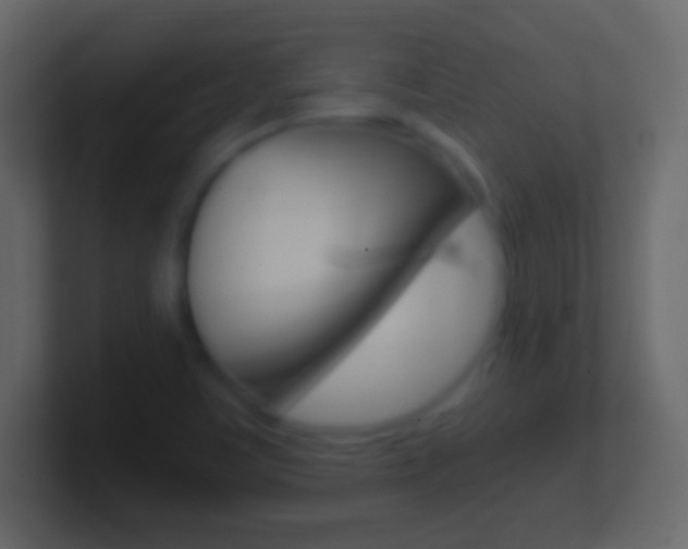 X0000101441459200807071016