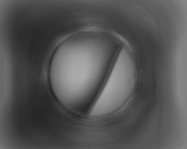 X0000101441463200807071016