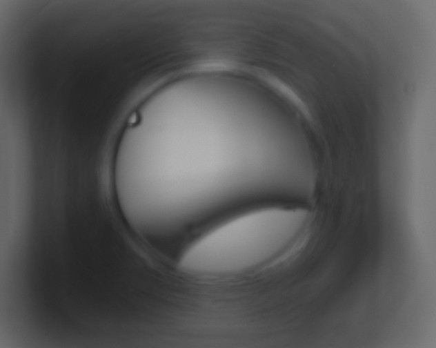 X0000101441469200807071016