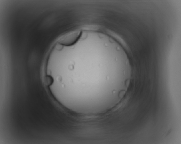 X0000101441471200807071016