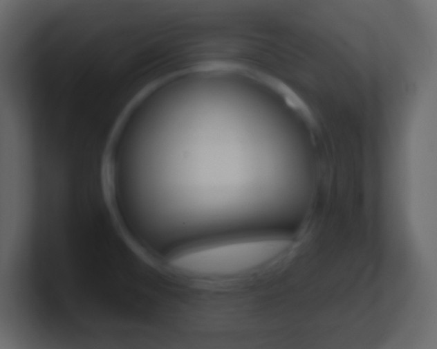 X0000101441476200807071016